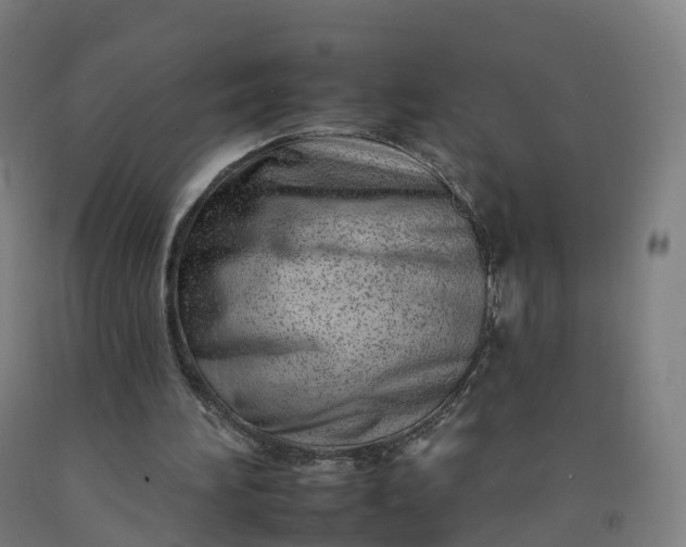 X0000092260196200709281210