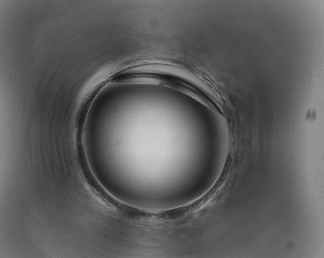 X0000092260197200709281210