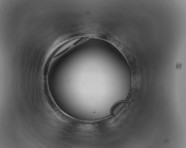 X0000092260198200709281210