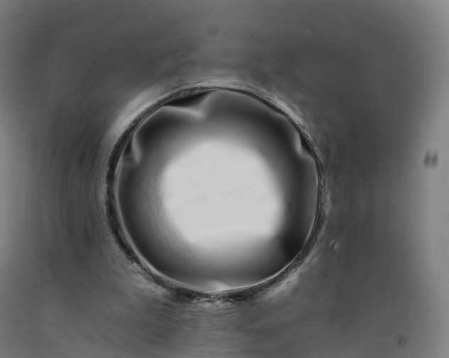 X0000092260199200709281210