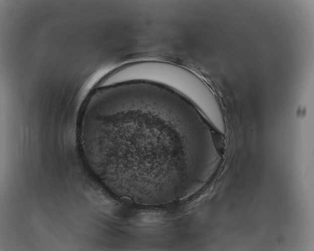 X0000092260200200709281210