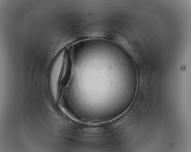 X0000092260202200709281210