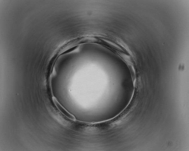 X0000092260203200709281210