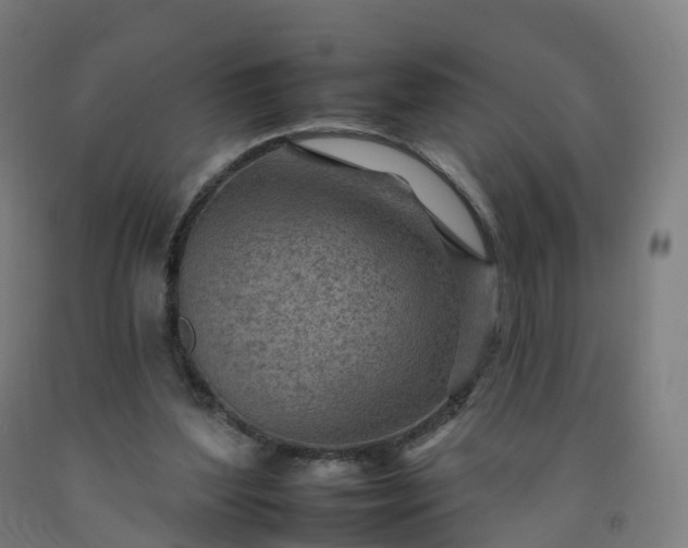 X0000092260204200709281210