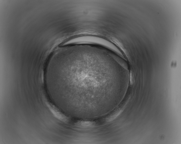 X0000092260205200709281210