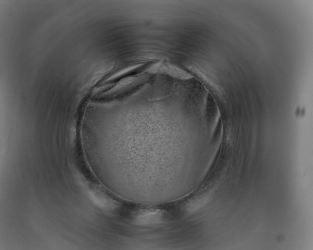 X0000092260206200709281210