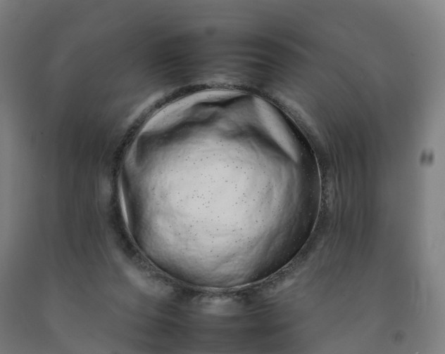 X0000092260208200709281210