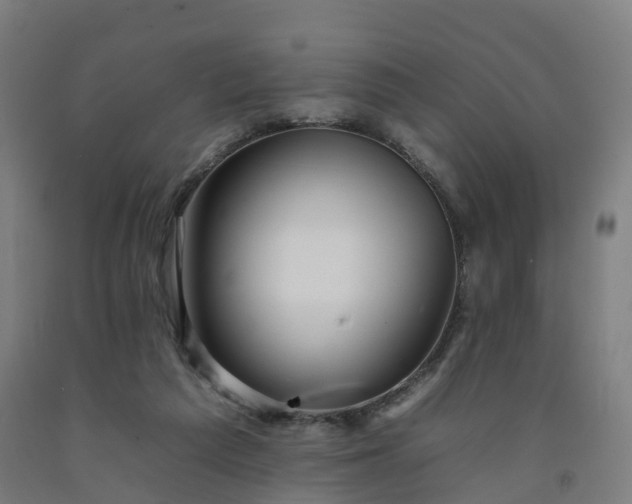 X0000092260209200709281210