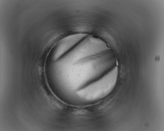 X0000092260210200709281210