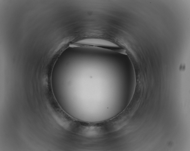 X0000092260212200709281210