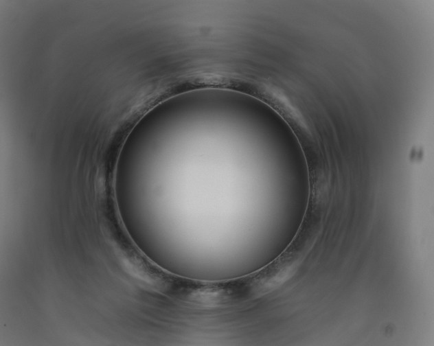 X0000092260213200709281210