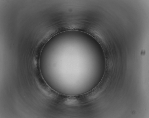 X0000092260214200709281210