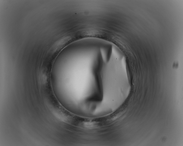 X0000092260216200709281210