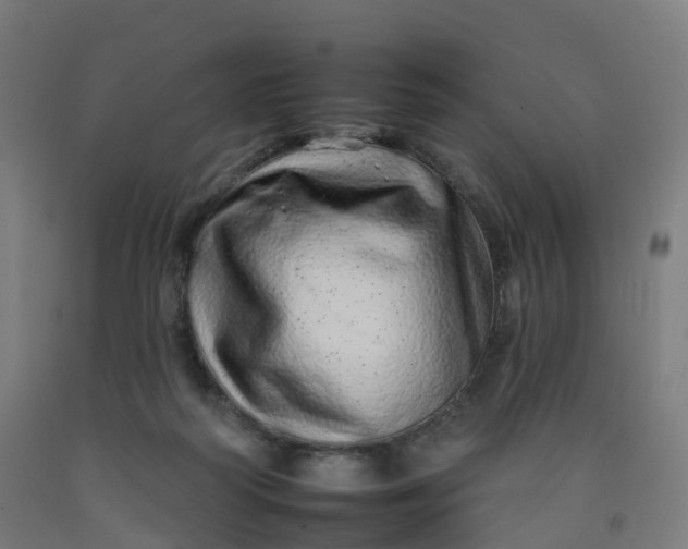 X0000092260218200709281210