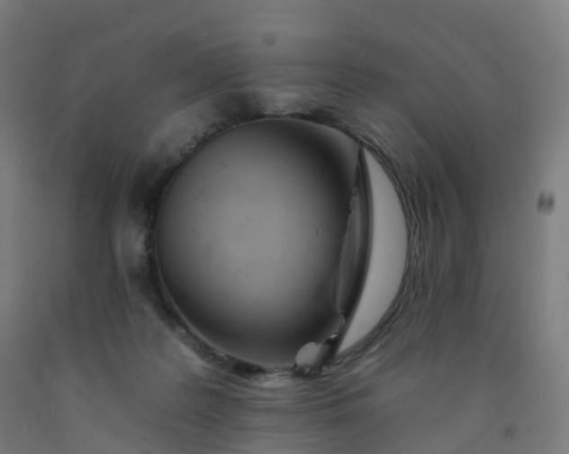 X0000092260219200709281210