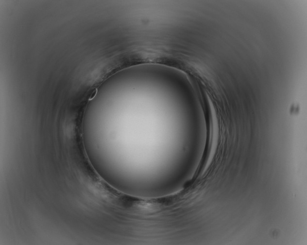 X0000092260221200709281210