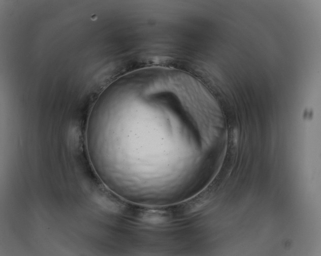 X0000092260222200709281210