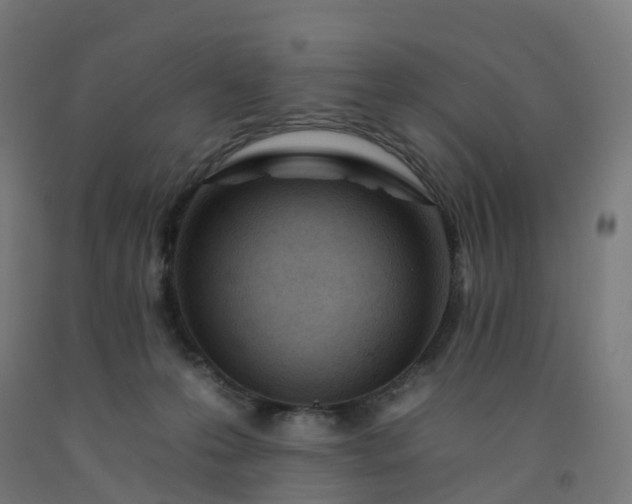 X0000092260223200709281210