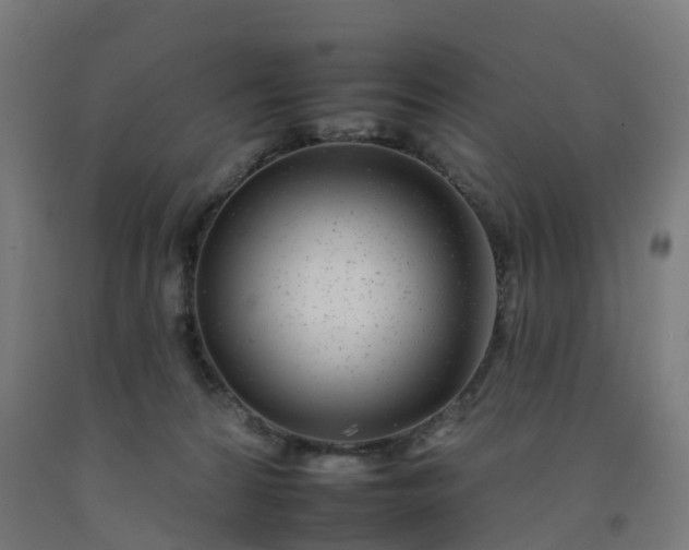 X0000092260224200709281210