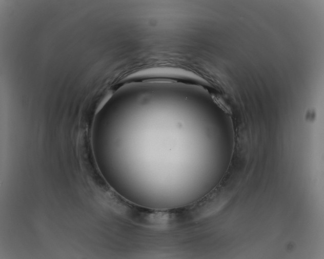 X0000092260225200709281210