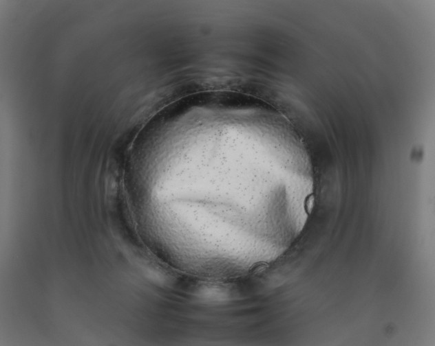 X0000092260226200709281210