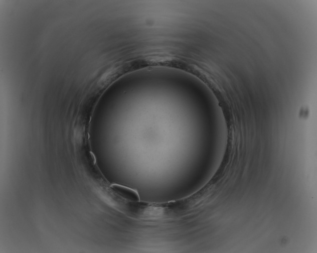 X0000092260227200709281210