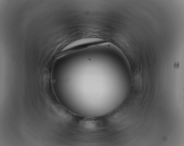 X0000092260228200709281210