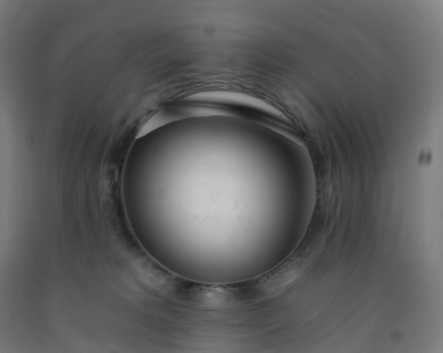 X0000092260229200709281210