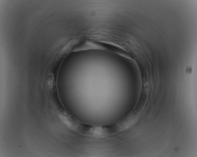 X0000092260231200709281210