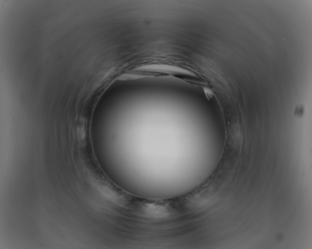 X0000092260232200709281210