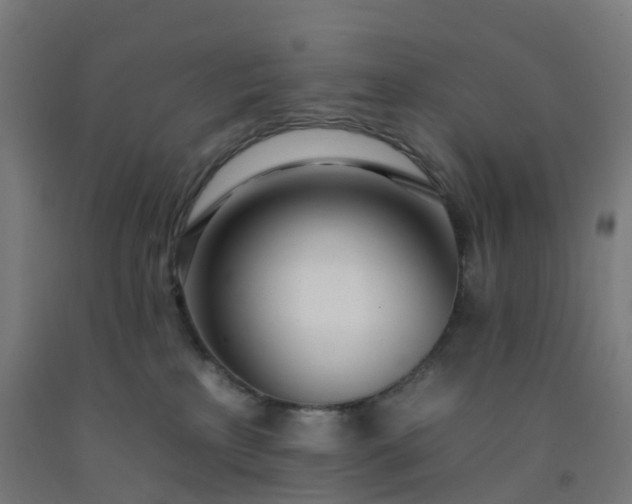 X0000092260233200709281210