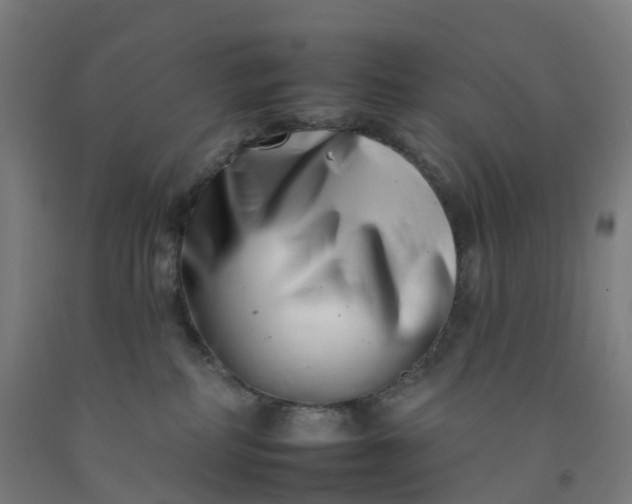 X0000092260234200709281210