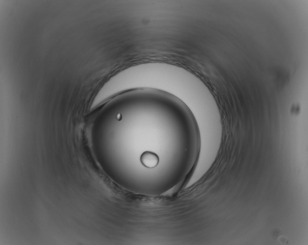 X0000092260235200709281210