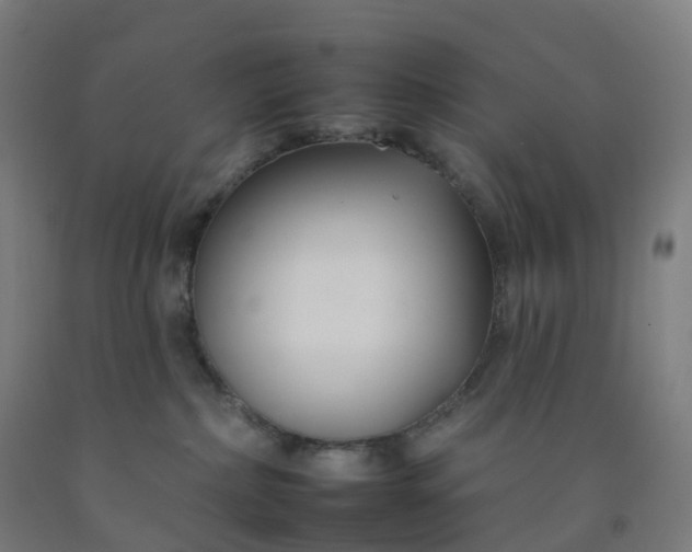 X0000092260236200709281210