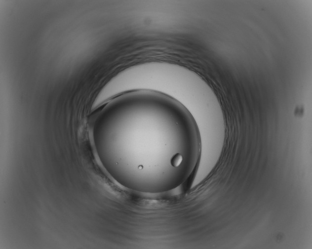 X0000092260239200709281210