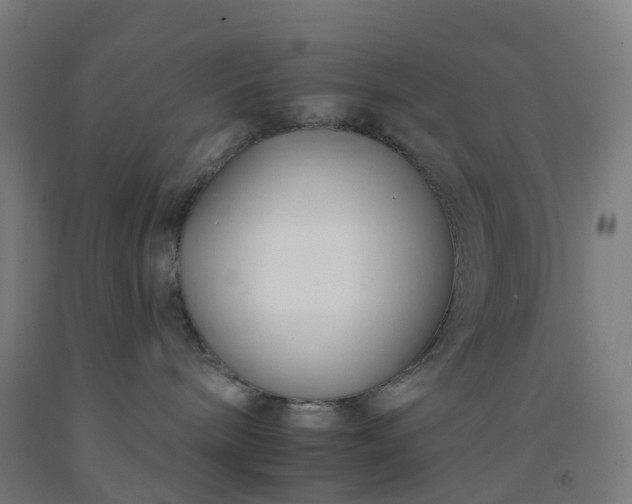 X0000092260240200709281210