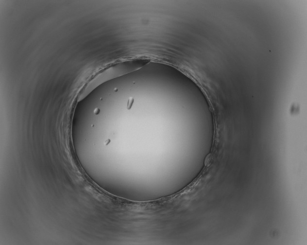 X0000092260241200709281209