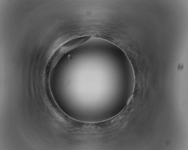 X0000092260242200709281209