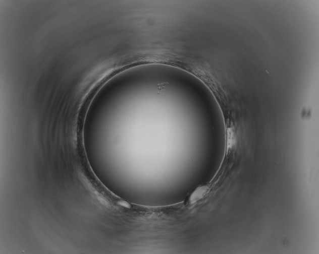 X0000092260243200709281209