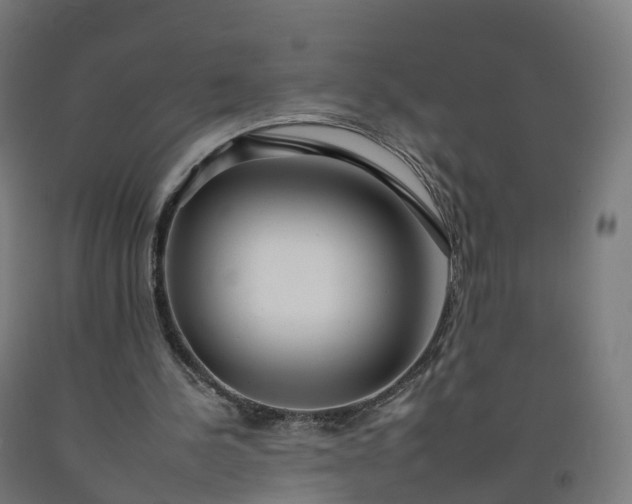 X0000092260244200709281209