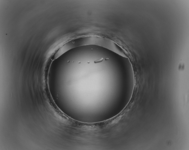 X0000092260245200709281209