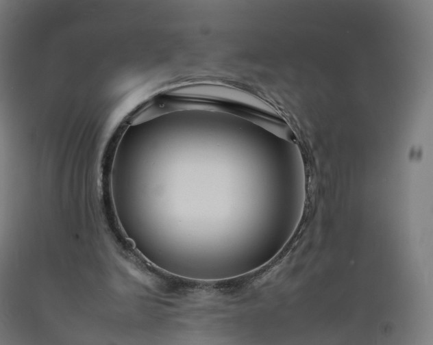 X0000092260246200709281209