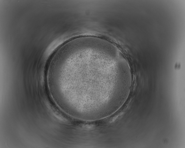 X0000092260247200709281209