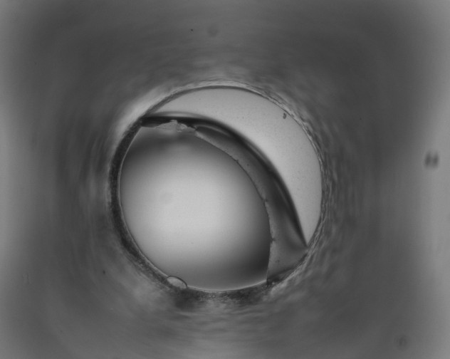 X0000092260248200709281209