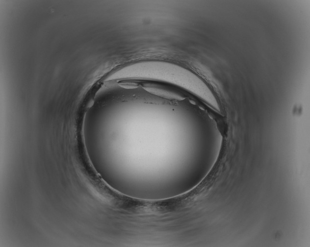 X0000092260250200709281209