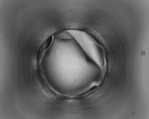 X0000092260251200709281209