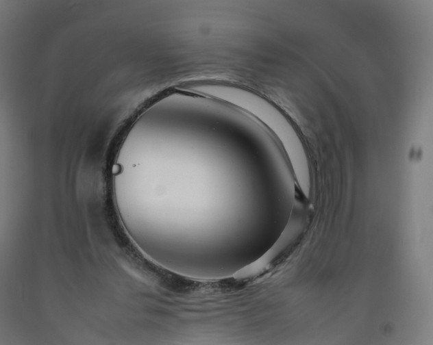 X0000092260252200709281209