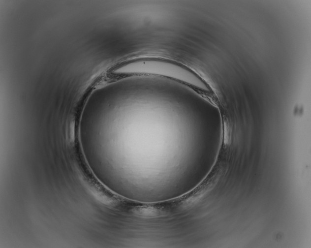 X0000092260253200709281209