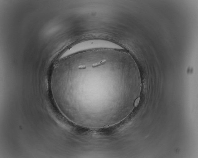 X0000092260254200709281209