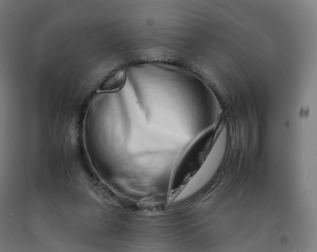 X0000092260255200709281209